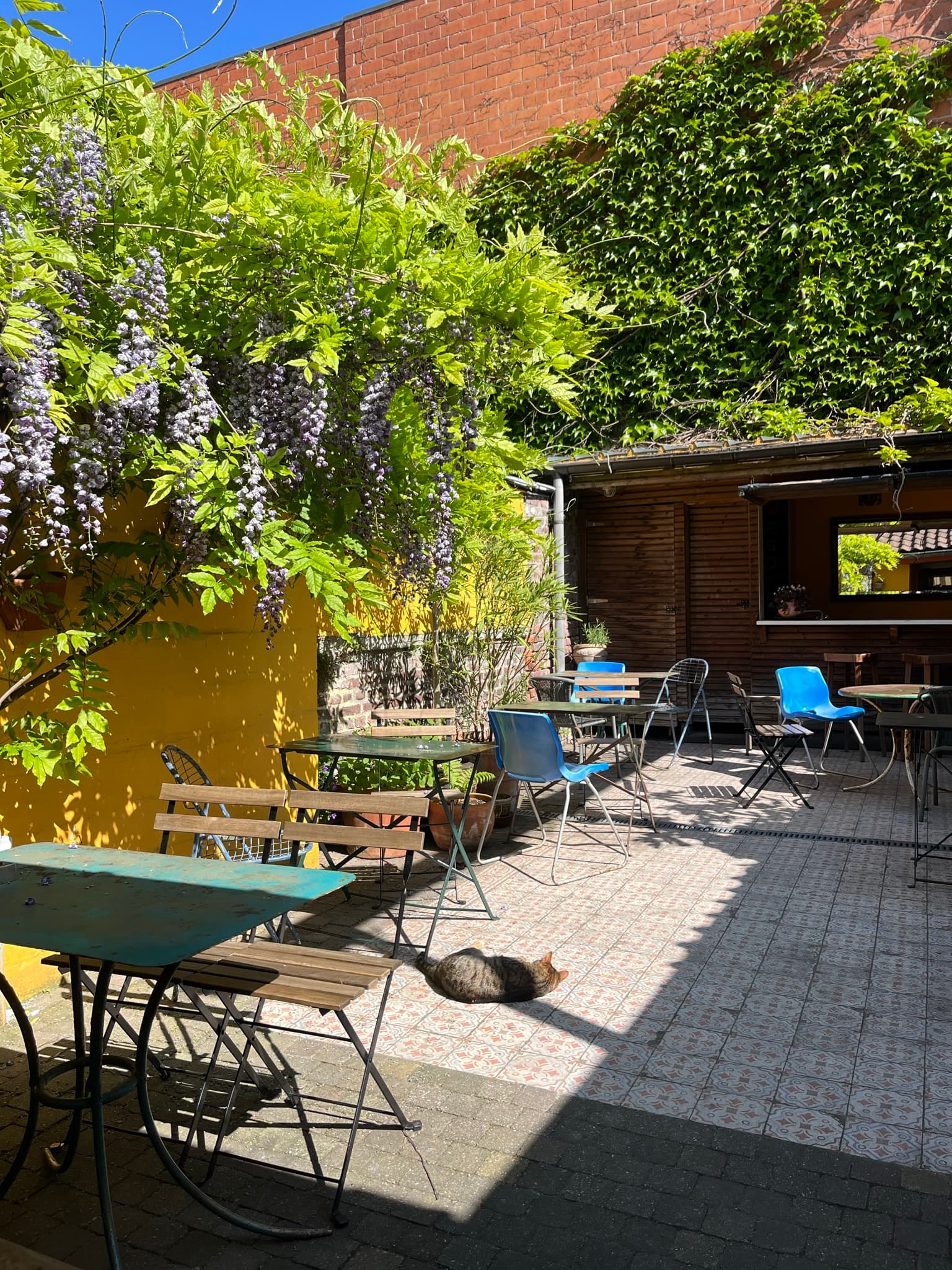 Zonnig terras bij Shanti Beans